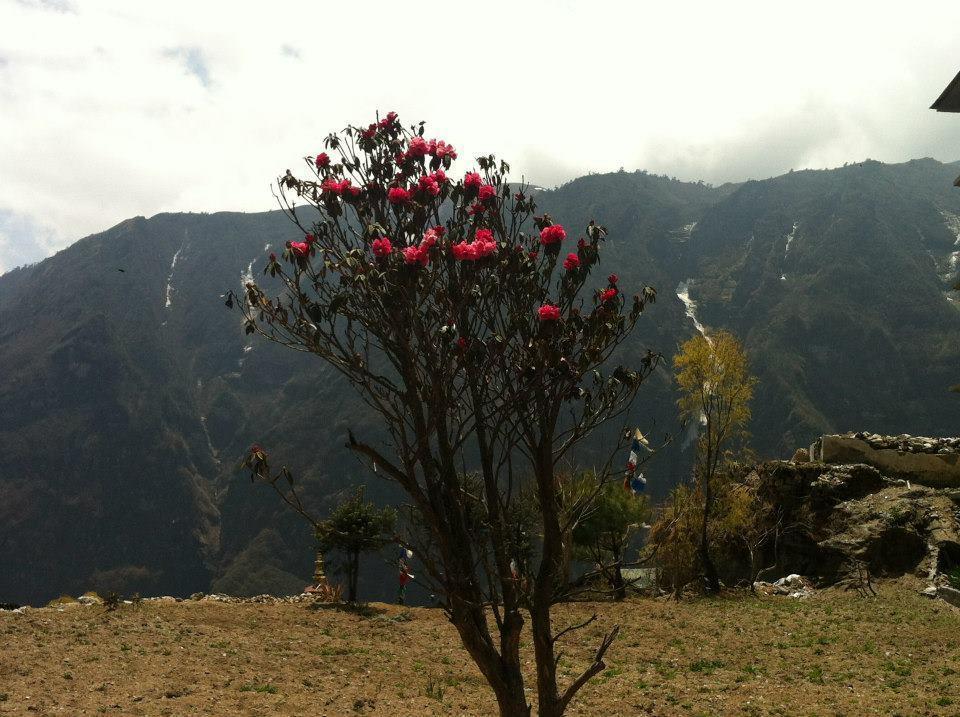 Hotel Namche Namche Bazar Exterior photo